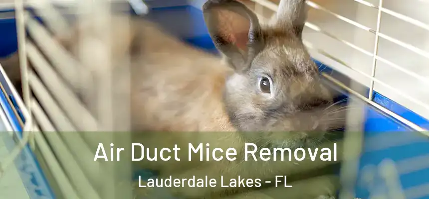 Air Duct Mice Removal Lauderdale Lakes - FL
