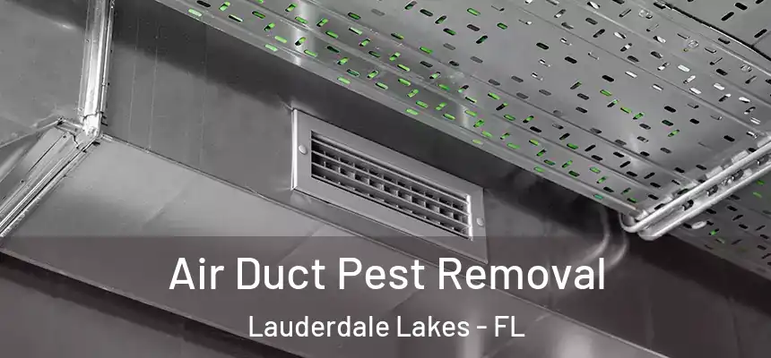 Air Duct Pest Removal Lauderdale Lakes - FL