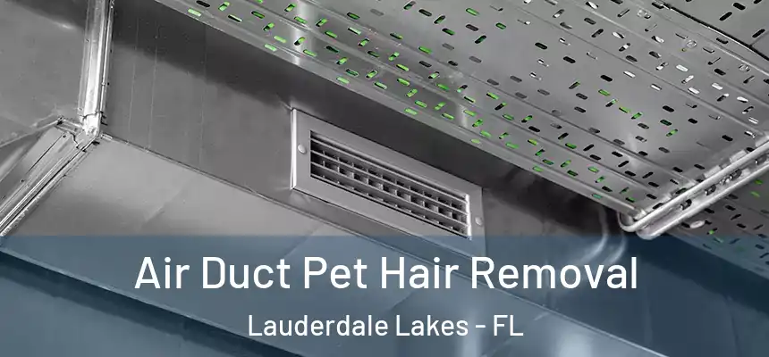 Air Duct Pet Hair Removal Lauderdale Lakes - FL