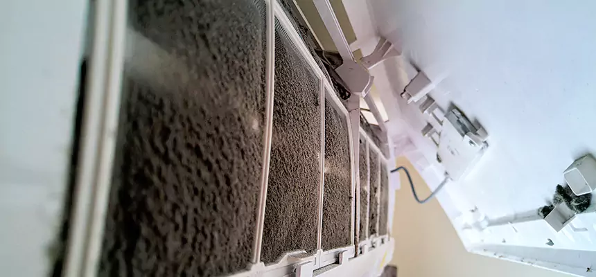 Preventive Air Duct Bacteria Removal in Lauderdale Lakes