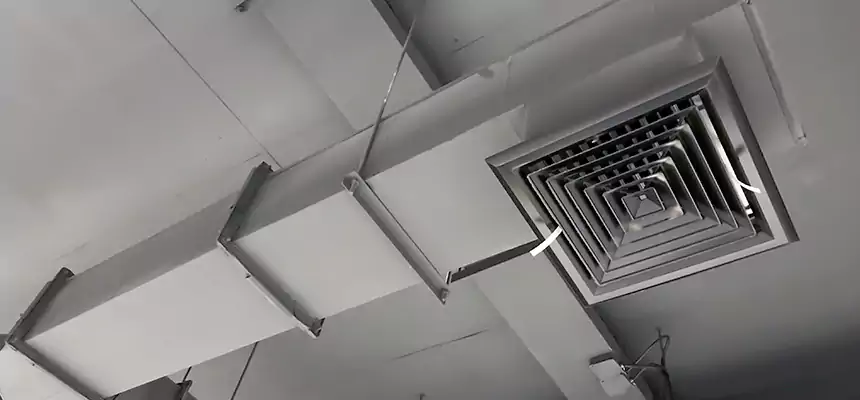 Our Rodent Droppings In Vents Services in Lauderdale Lakes, FL