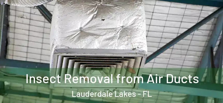 Insect Removal from Air Ducts Lauderdale Lakes - FL