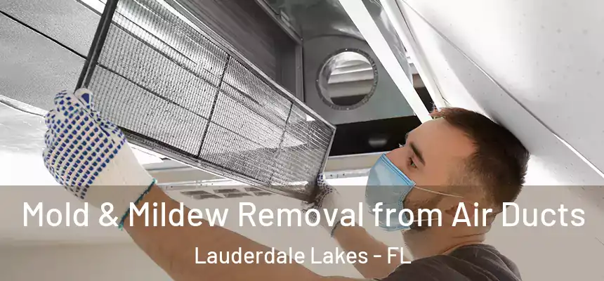 Mold & Mildew Removal from Air Ducts Lauderdale Lakes - FL