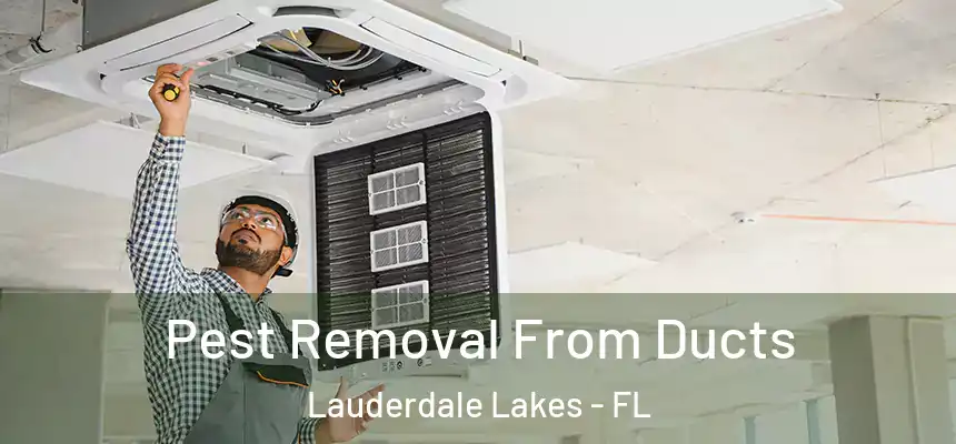 Pest Removal From Ducts Lauderdale Lakes - FL