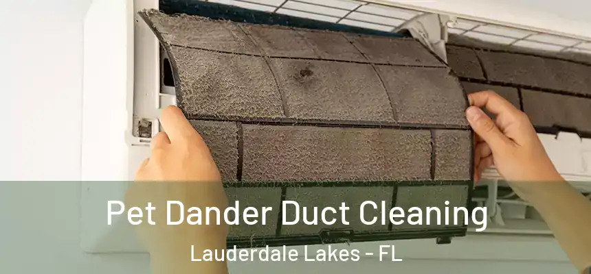 Pet Dander Duct Cleaning Lauderdale Lakes - FL
