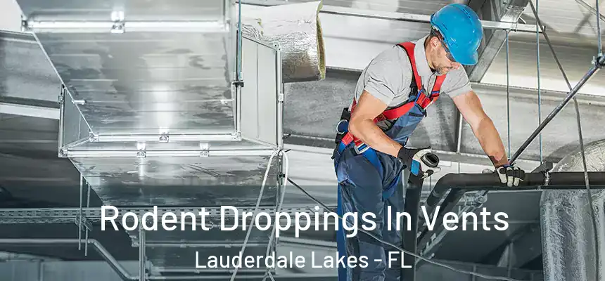 Rodent Droppings In Vents Lauderdale Lakes - FL