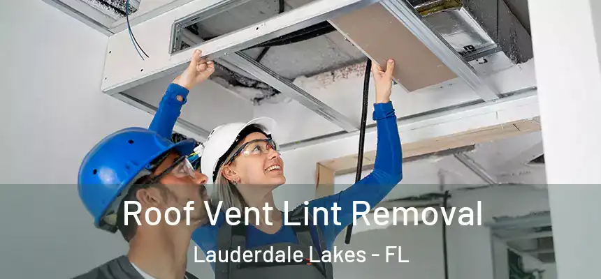Roof Vent Lint Removal Lauderdale Lakes - FL