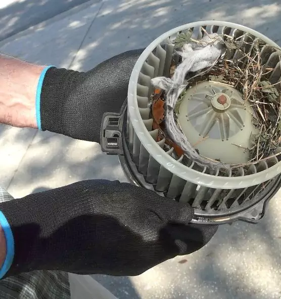 About Air Duct Mice Removal in Lauderdale Lakes, FL