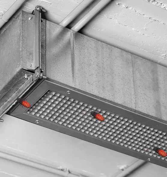 Affordable Insect Removal from Air Ducts in Lauderdale Lakes, FL