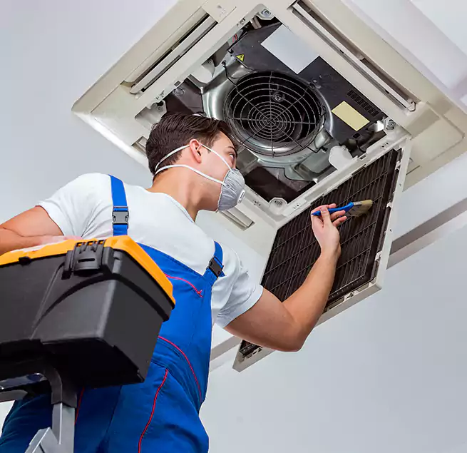 Why Homeowners & Businesses Trust Us in Lauderdale Lakes, FL