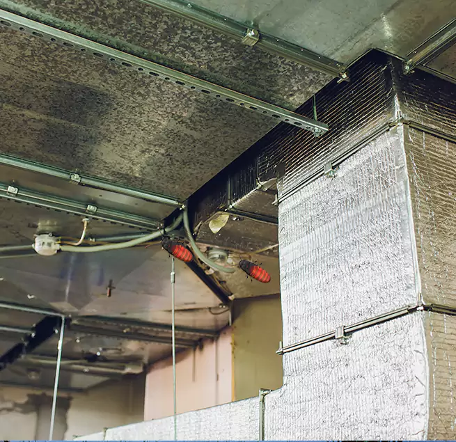 Why Homeowners & Businesses Trust Us Lauderdale Lakes, FL?