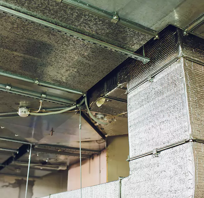 Why Homeowners & Businesses Trust Us in Lauderdale Lakes, FL?